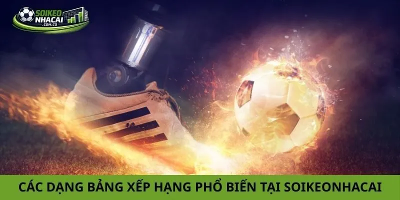 Các dạng bảng xếp hạng phổ biến tại soikeonhacai