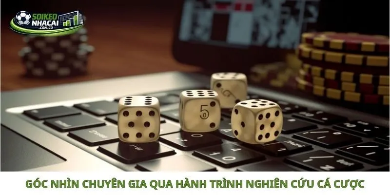 Góc nhìn chuyên gia qua hành trình nghiên cứu cá cược