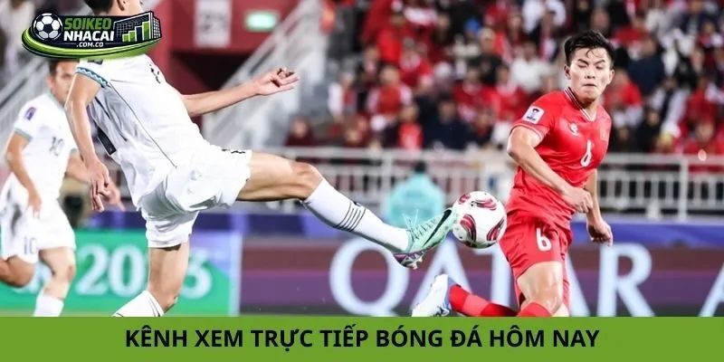 kênh xem trực tiếp bóng đá hôm nay