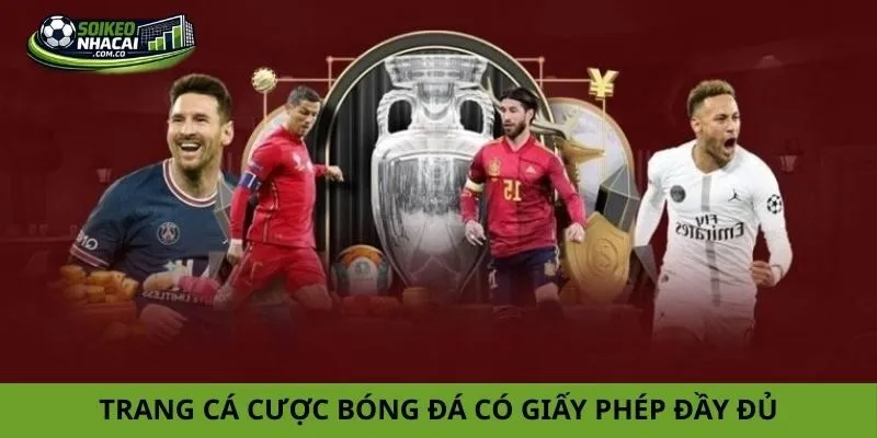 Lựa chọn trang cá cược bóng đá