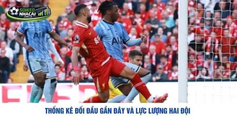 Thống kê đối đầu gần đây và lực lượng hai đội 