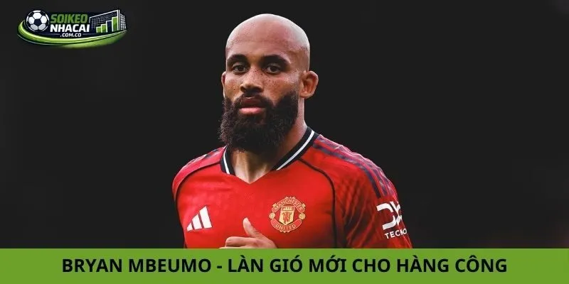 Tin chuyển nhượng Manchester United