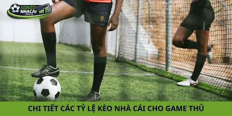 Chi tiết các tỷ lệ kèo nhà cái cho game thủ